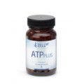 ZELL38 ATP PLUS (Daily Energy)